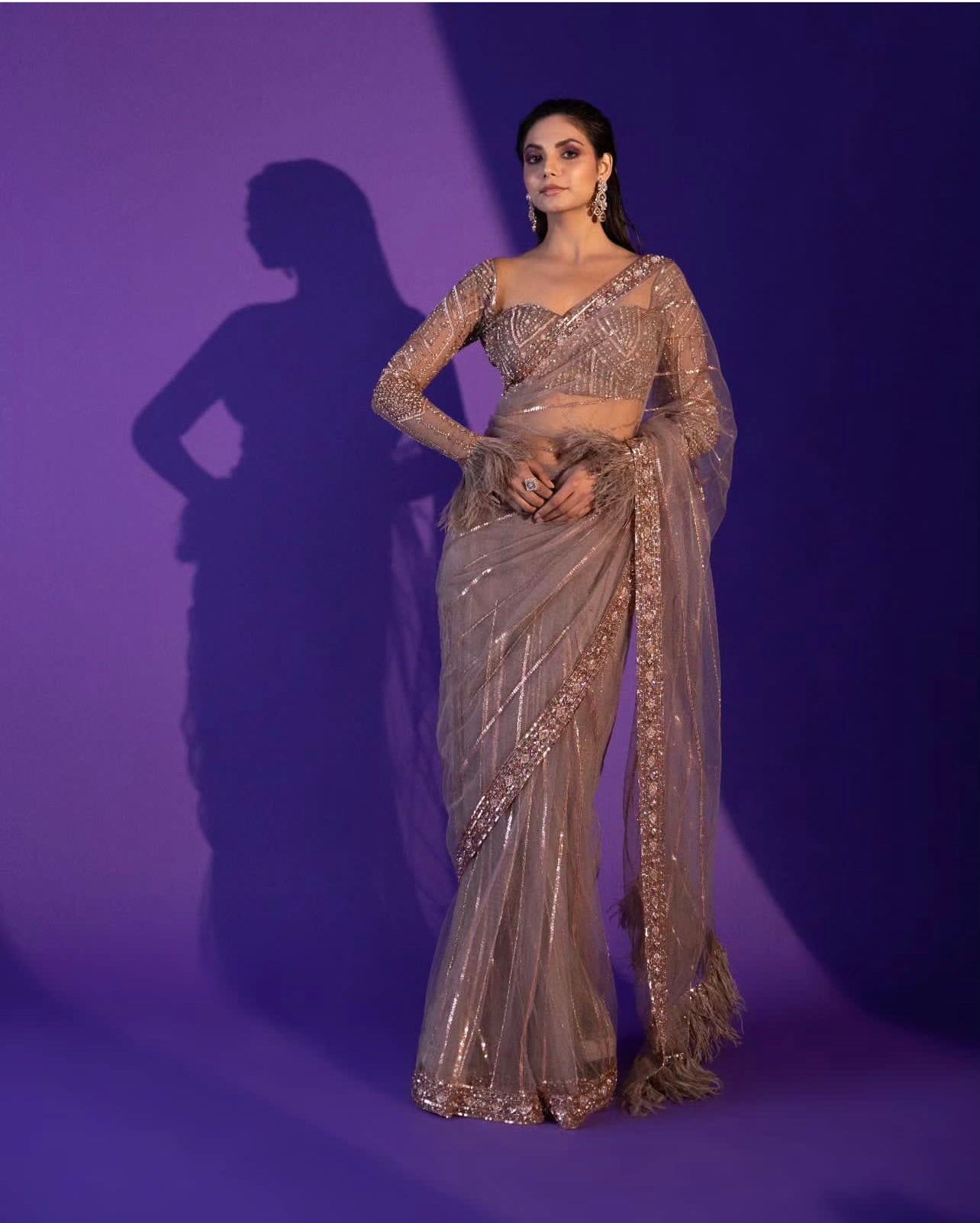 Brown Net Saree with Blouse Sequence Dori Zari Work Party Wear Saree